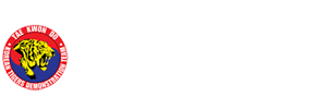 K타이거즈 시범단 용인대청룡태권도인성교육관